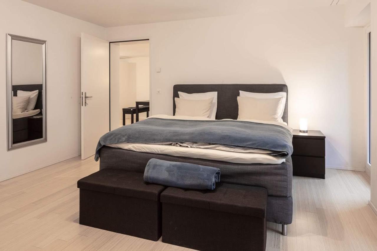 2,5 Zi Design Loft Mit Gartensitzplatz Basilea
